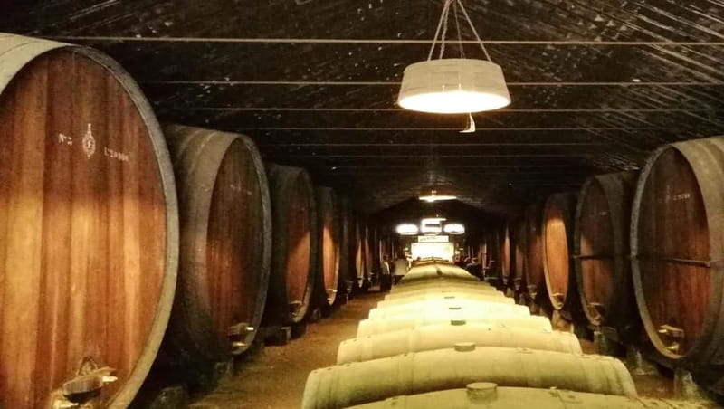 Private day tour Arrábida, Palmela Castle, tiles and Winery - Crossing the 25 de Abril Bridge and Return to Lisbon