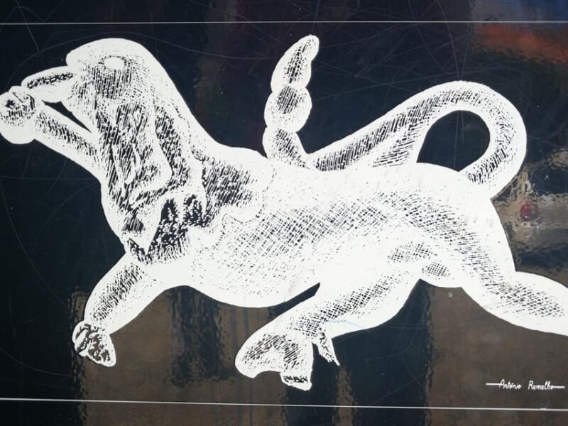 Private day tour Belmonte Museum Discoveries & Jewish Museum - The Sum Up: A Rich Day of History and Heritage in Portugal