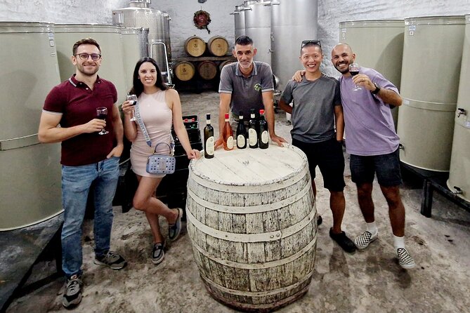 Private Day Tour Discovering Hidden Gems of Novi Sad in Luxury - Discover Novi Sad in Comfort and Style