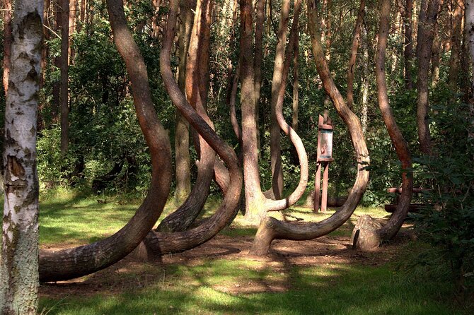 Private Day Tour from Berlin to Szczecin Poland - Practical Details and Booking Considerations