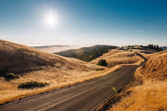 Private Day Tour from Florence to Pisa, Chianti and San Gimignano - Practical Details and Booking