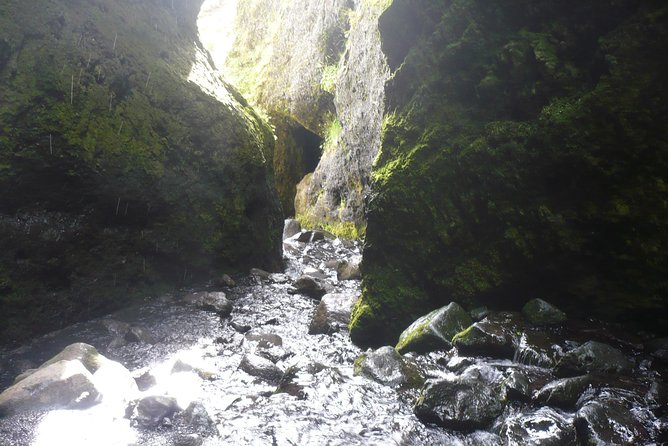 Private Day Tour from Höfn - The Eastfjords - Flexibility and Weather Considerations