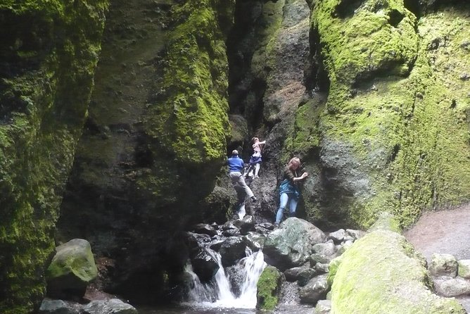 Private Day Tour from Höfn - The Eastfjords - Cost and Booking Insights