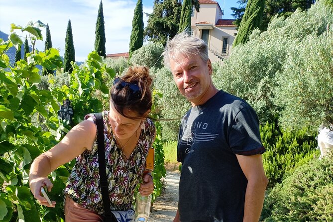 Private day tour from Porto to Douro Valley - Key Points