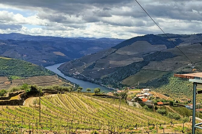 Private day tour from Porto to Douro Valley - Unique Perspective with the Douro River Boat Tour in Pinhão