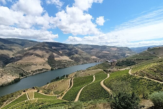 Private day tour from Porto to Douro Valley - Sunset Return to Porto