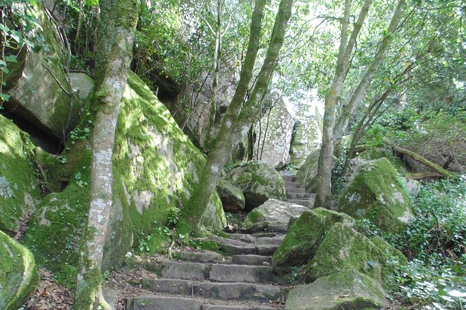 Private Day Tour from the Centre to the Highest Point in Sintra. - Walking Through Pena Park’s Microclimates and Exotic Flora