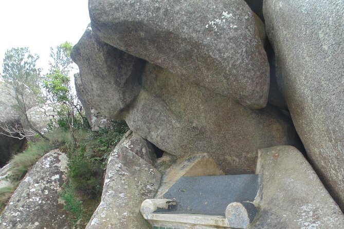 Private Day Tour from the Centre to the Highest Point in Sintra. - Descending Through Pena Park’s Farm Area to Mourish Castle