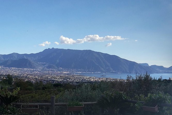 Private Day Tour: Herculaneum and Wine Tasting - Exploring the Ruins of Herculaneum