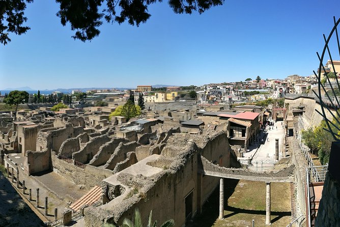 Private Day Tour: Herculaneum and Wine Tasting - Personalized Experience and Logistics