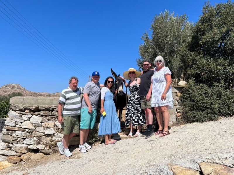 Private Day Tour In Naxos Lunch included - Unique Experiences in Chalki and Kaloxylos Villages