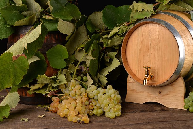 Private Day Tour & Lunch: Parmesan, Wine, and Vinegar Tasting - Tasting Local Wines at Gavioli Antica Cantina