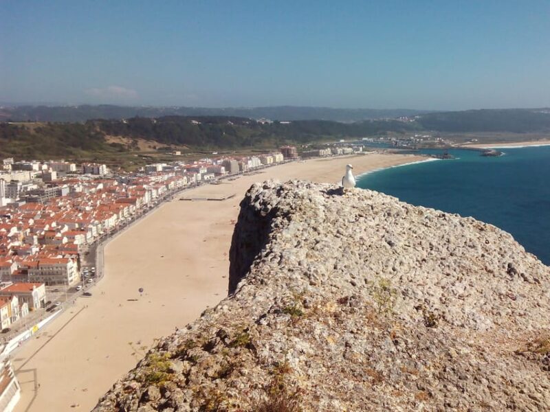 Private Day Tour Medieval Obidos, Nazare wave & Peniche Surf - Enjoying a Fresh Seafood Lunch in Nazaré