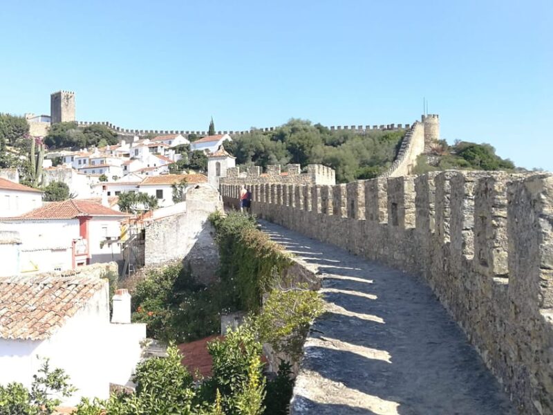 Private Day Tour Medieval Obidos, Nazare wave & Peniche Surf - Convenient Logistics and Personalization