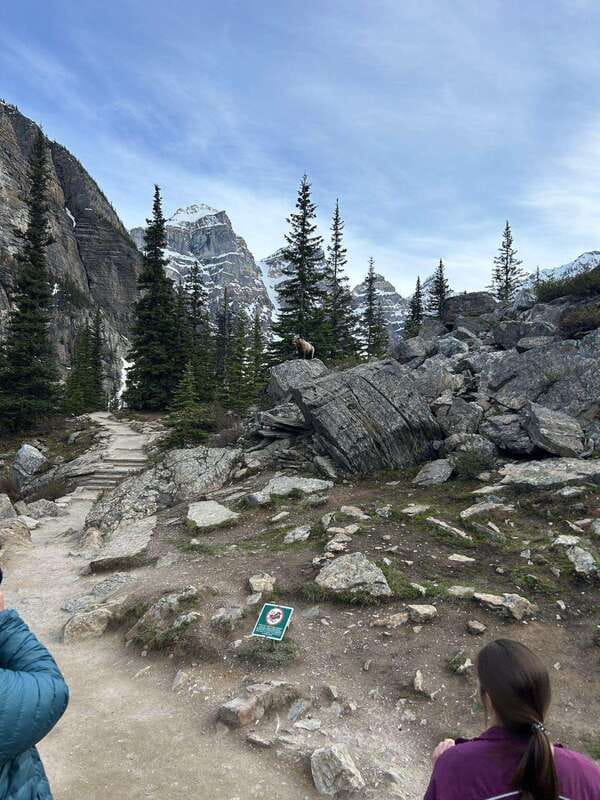 Private Day Tour: Moraine Lake and Lake Louise - Trails, Meadows, and Mountain Views at Moraine Lake