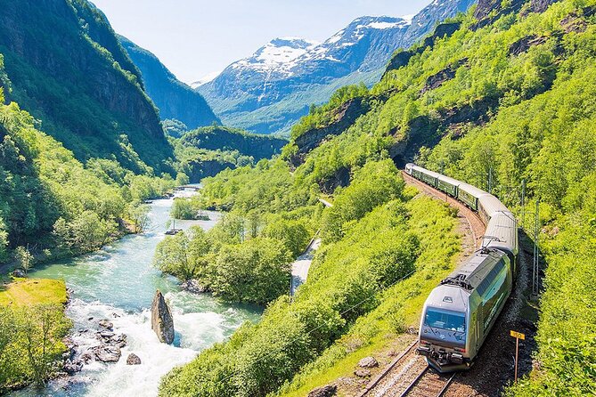 Private Day Tour Nærøyfjord Cruise, Viking Village, Flåm Railway - Exploring Aurlandsfjord and Flåm