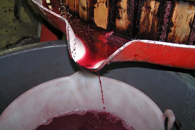 Private Day Tour: Napa Valley Wine Tasting from San Francisco - 6hrs - Considerations for Participants and Planning