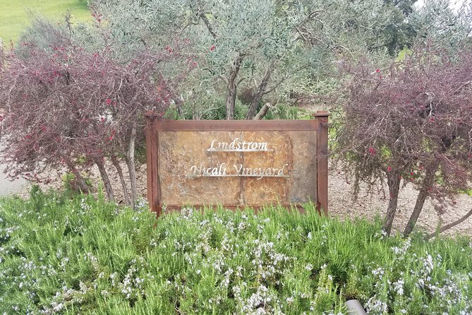 Private Day Tour: Napa Valley Wine Tasting from San Francisco - 6hrs - Why Choose This Napa Valley Wine Tour?