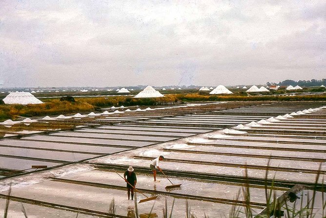 Private day tour of Coimbra and Aveiro from Lisbon - Savoring Local Flavors in Aveiro