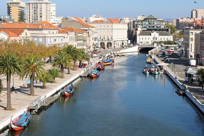 Private day tour of Coimbra and Aveiro from Lisbon - Practical Details and Booking Flexibility