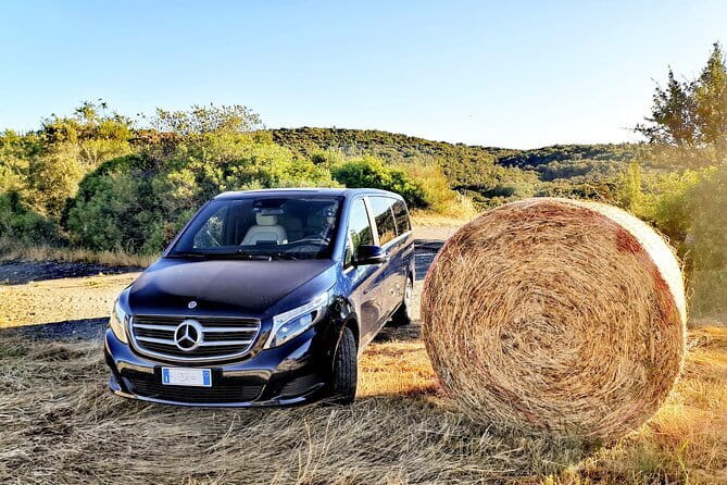 Private Day Tour: Pisa and Lucca from Florence - The Experience with Lets Andiamo