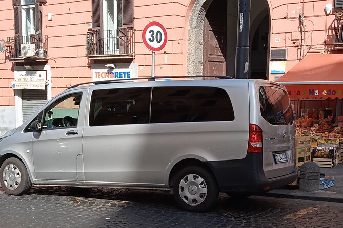 Private day tour: Pompei and Herculenium. - Convenient and Comfortable Transfers
