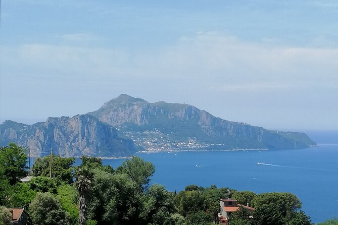 Private day tour: Pompei,Vesuvius and Herculaneum. - Flexibility to Customize with Guided Tours