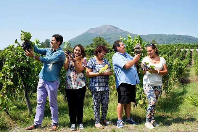 Private day tour: Sorrento, Positano, Amalfi and Ravello. - Guide Quality and Guest Experience