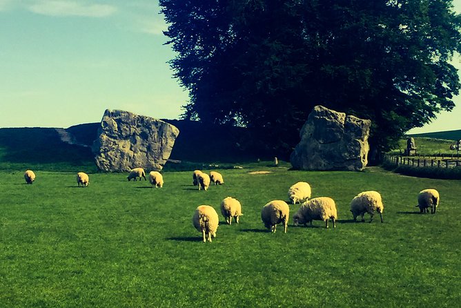 Private Day Tour to Bath, Avebury & The Cotswolds - Practical Details and Considerations