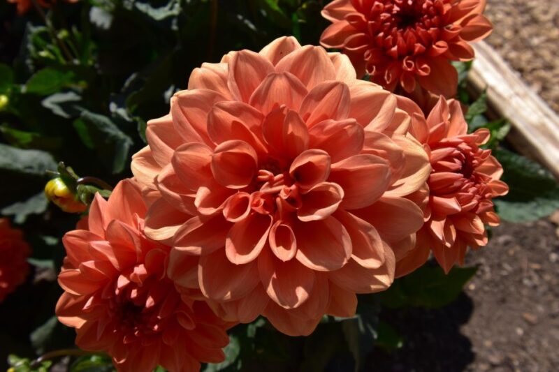 Private Day Tour to Chartwell, Home of Sir Winston Churchill - Key Points