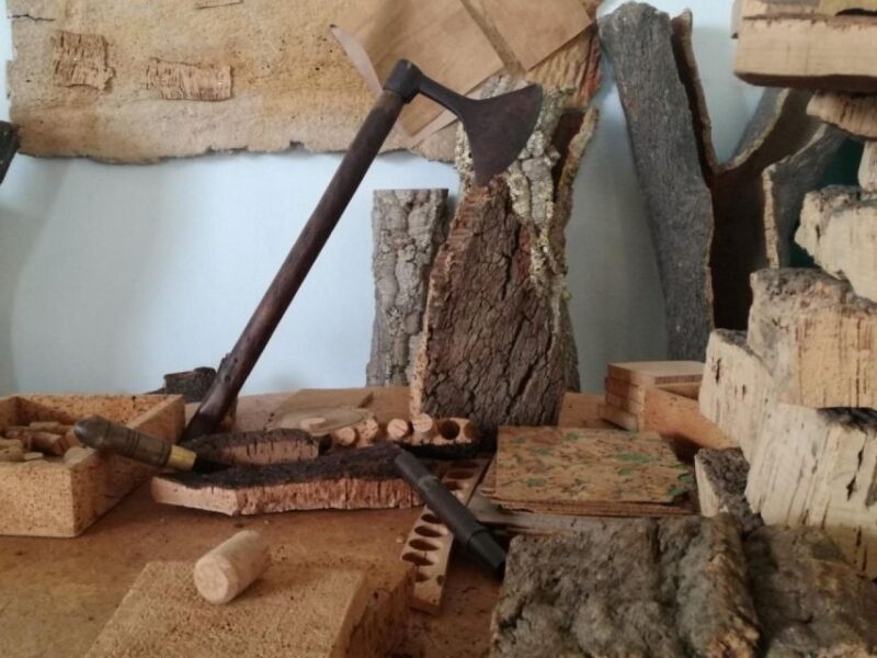 Private day tour to Évora: cork, factory, winery & the city - Explore Évora’s Unique Cultural and Historical Treasures in a Private Day Trip