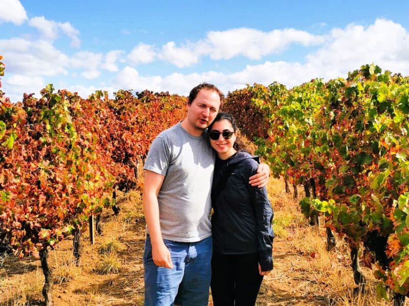 Private day tour to Évora: cork, factory, winery & the city - Walking Through Évora’s UNESCO World Heritage Sites