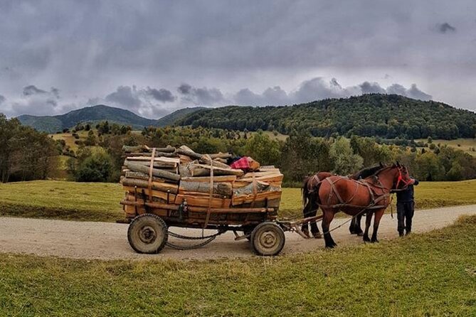 Private Day Tour to Historical Villages in Sinaia - Flexibility and Booking Terms