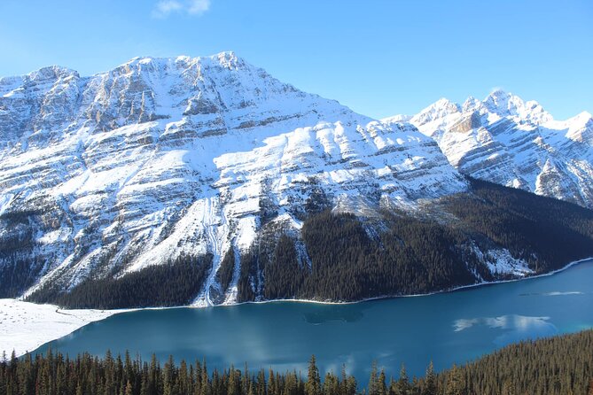 Private Day Tour to Icefield Parkway and Abraham Lake - Key Points
