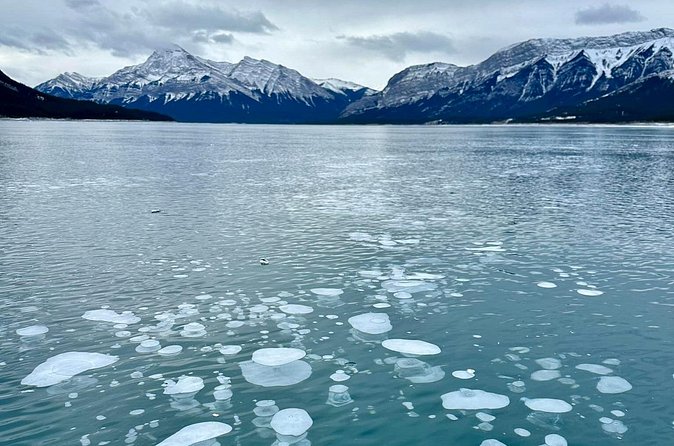 Private Day Tour to Icefield Parkway and Abraham Lake - Bow Lake: An Alpine Marvel Close to the Headwaters of Bow River