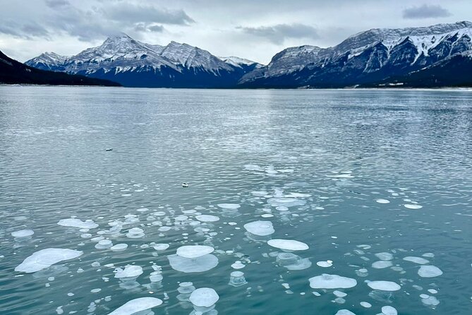 Private Day Tour to Icefield Parkway and Abraham Lake - Scenic Stops with Free Admission and Short Walks