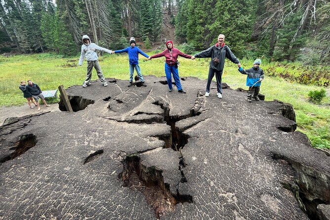 Private Day Tour to Sequoia and Kings Canyon Parks From LA - Pickup and Transportation for a Personalized Journey