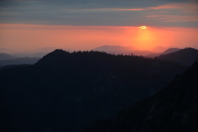 Private Day Tour to Sequoia and Kings Canyon Parks From LA - Experience the Tunnel Log: Walking Through a Living Landmark