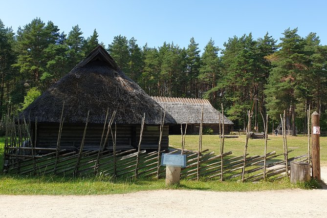 Private Day tour to Tallinn from Helsinki. All transfers included - Personal Guided Tour: Walking and Driving Highlights