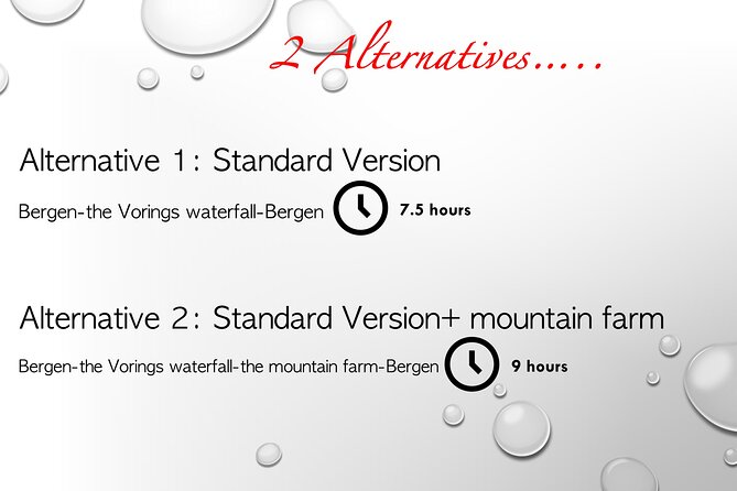 Private day tour to the Vorings Waterfall Norway's most visited - Key Points