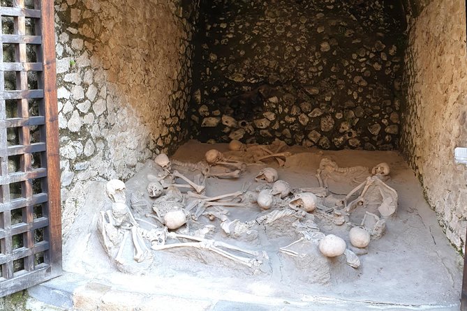 Private Day Tour to Vesuvius, Herculaneum & Pompeii with Pick Up - Optional Guided Tours and Ticket Packages