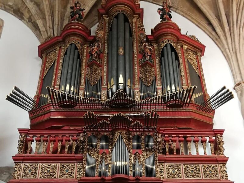 Private Day Tour University Coimbra & Convent Christ Tomar - Practical Details for an Enjoyable Day