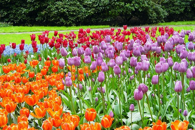 Private Day Trip from Amsterdam to Keukenhof with Entrance Tickets - Key Points