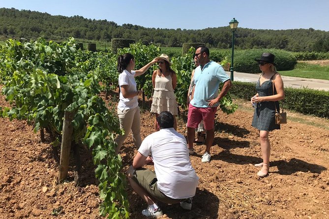 Private Day Trip from Barcelona to Montserrat - What’s Not Included and Additional Costs