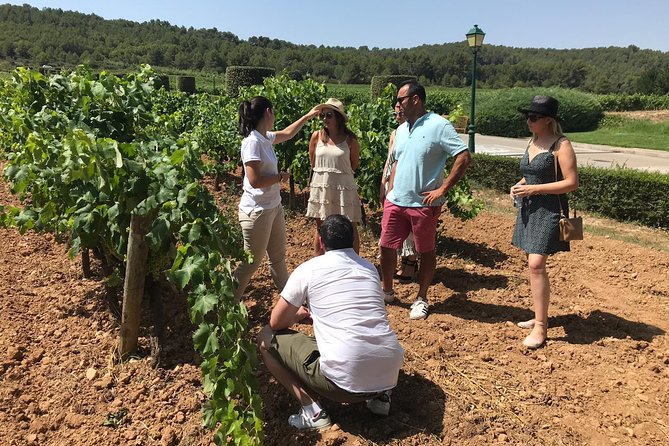 Private Day Trip from Barcelona to Montserrat - Who Will Appreciate This Tour Most