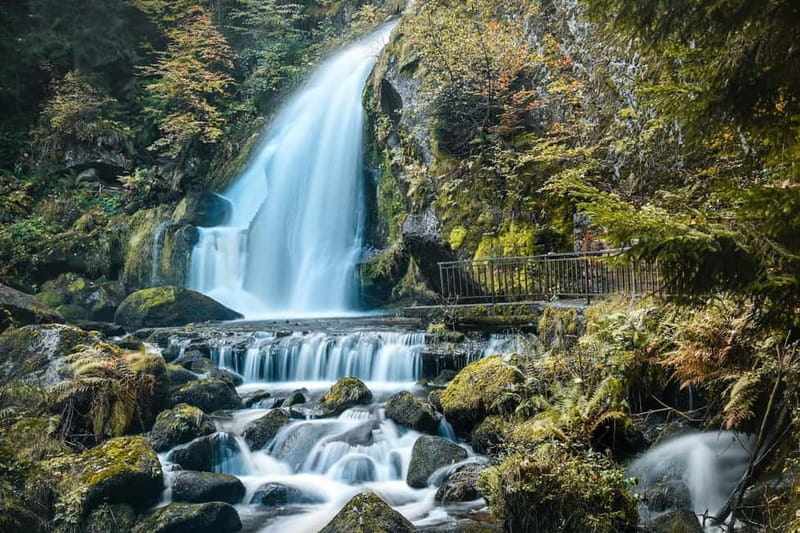 Private day trip from Basel to the Black forest and back - Why Choose This Black Forest Day Trip from Basel?