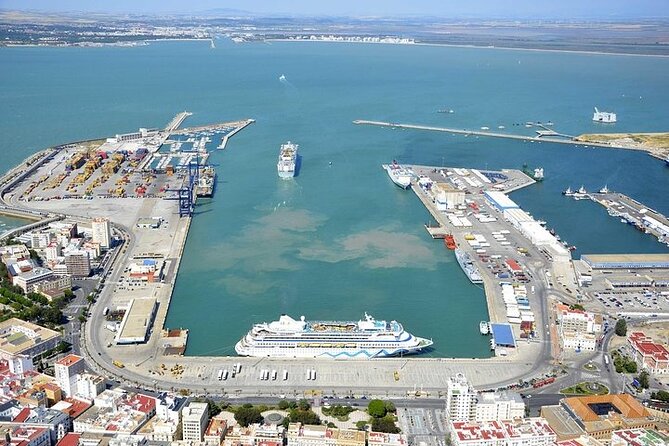 Private Day Trip from Cadiz port to Seville (tickets and transport included) - Key Points