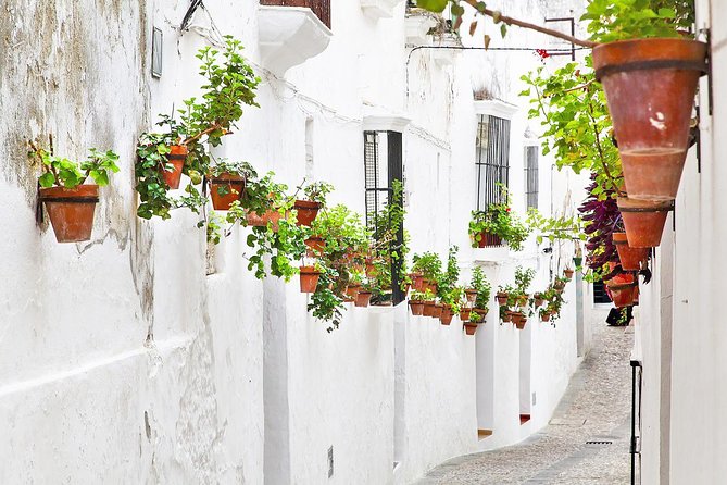 *Private Day Trip* from Cádiz: The White Towns of Andalusia - Exploring the Charm of Arcos de la Frontera