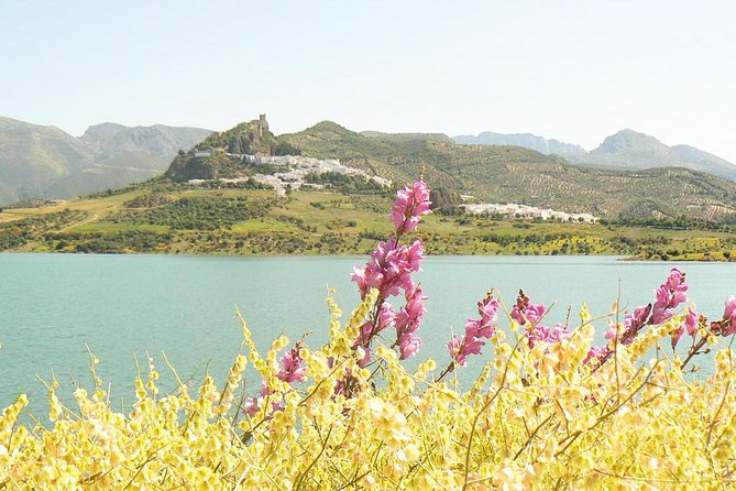 *Private Day Trip* from Cádiz: The White Towns of Andalusia - Flexibility and Customization During the Tour