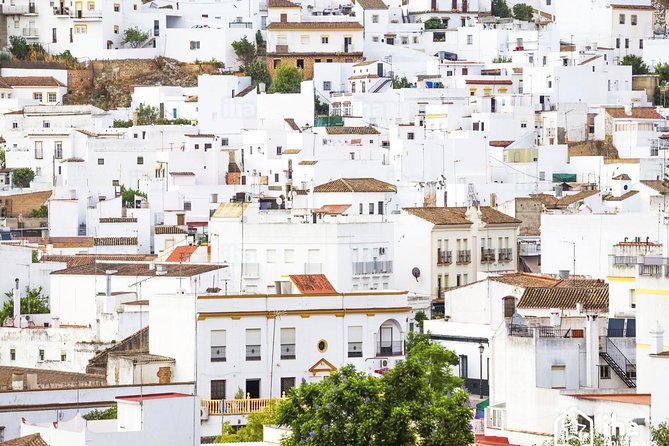 *Private Day Trip* from Cádiz: The White Towns of Andalusia - Considerations and Limitations